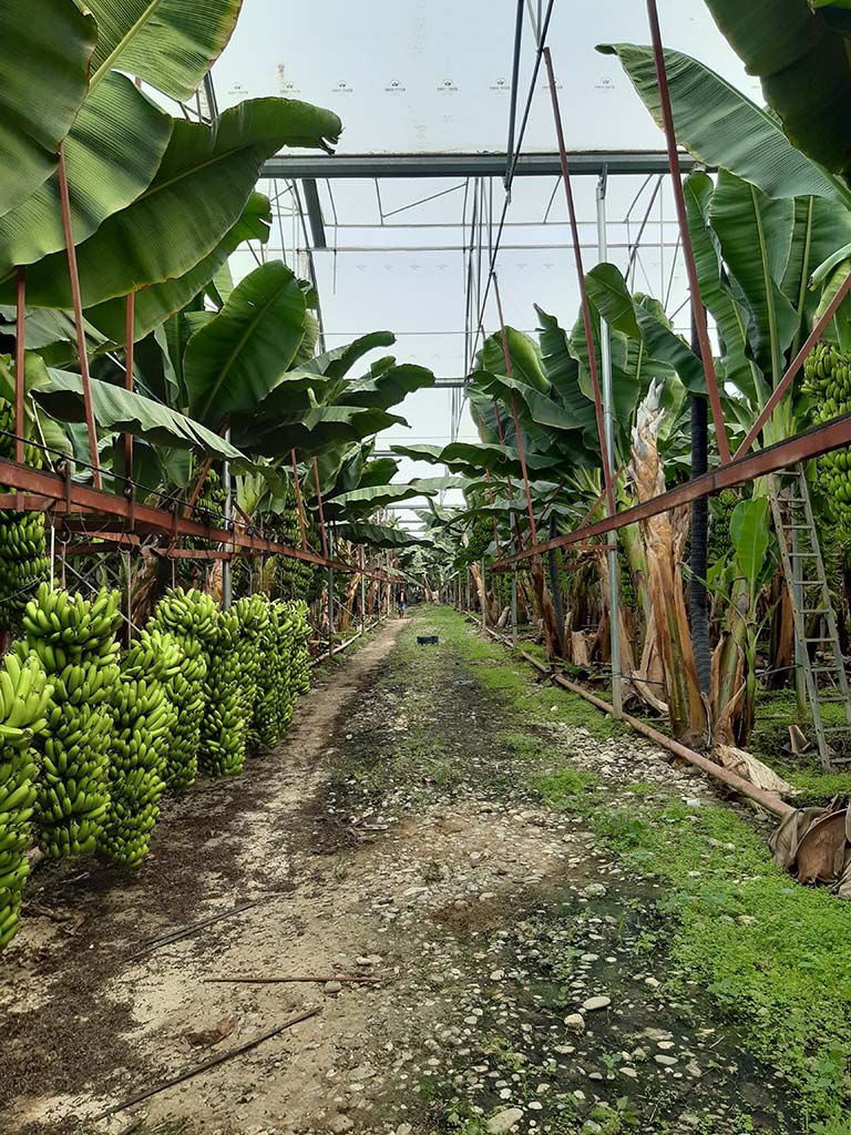 Saha Uygulamaları