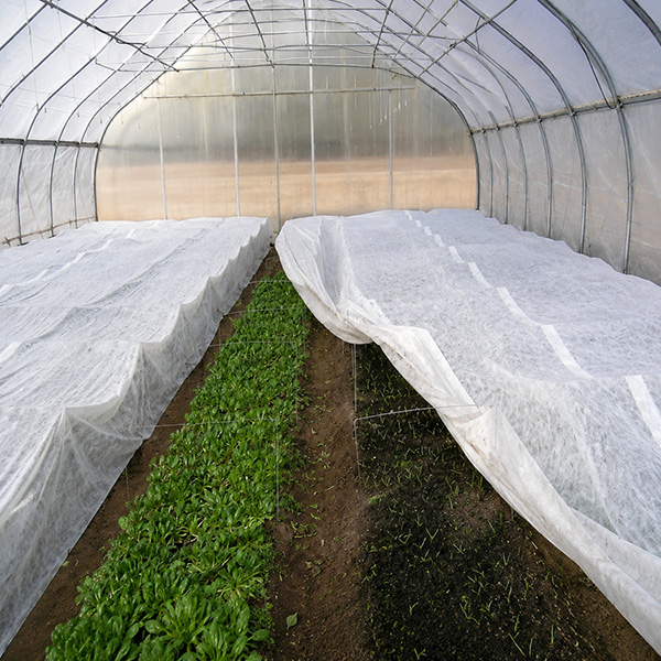 AGRİL 17-19-30 GR